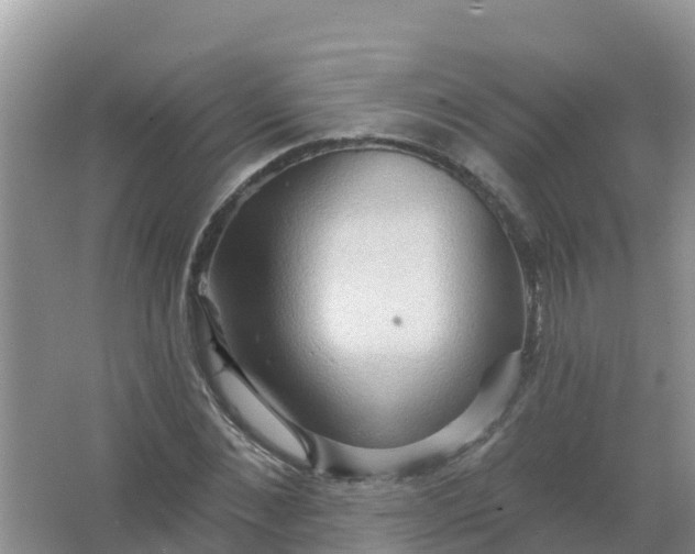 X0000066930876200604071843