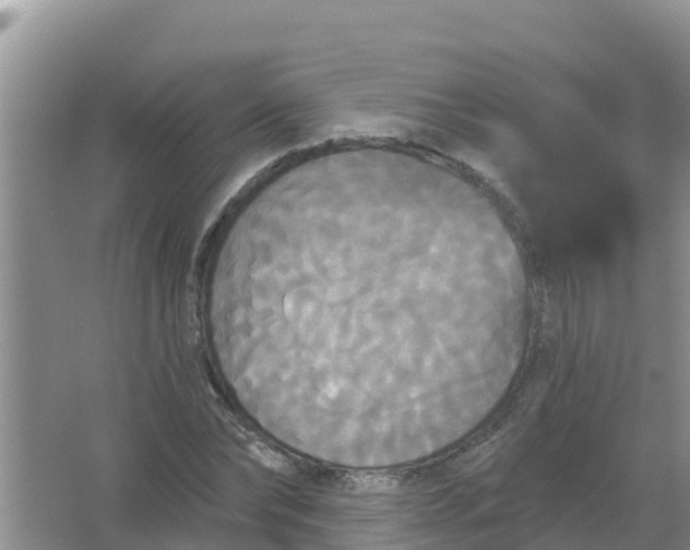 X0000066930878200604071843