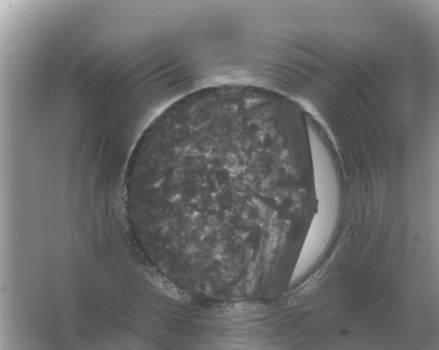 X0000066930879200604071843