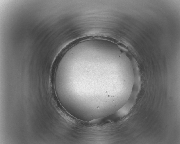 X0000066930880200604071843