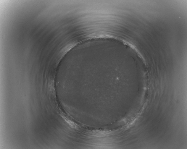 X0000066930881200604071843