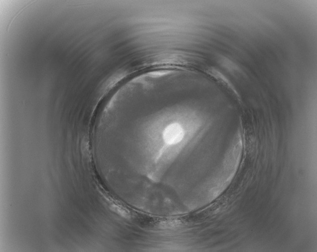 X0000066930882200604071843