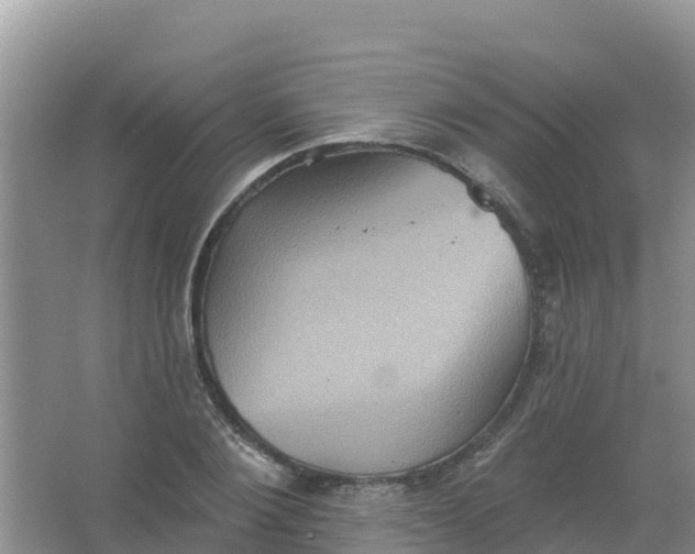 X0000066930884200604071843