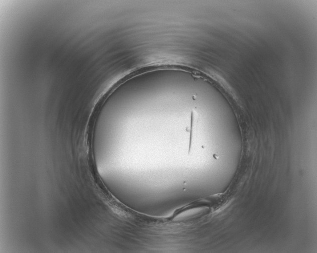 X0000066930885200604071843