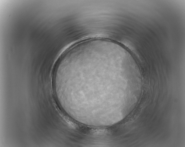 X0000066930886200604071843