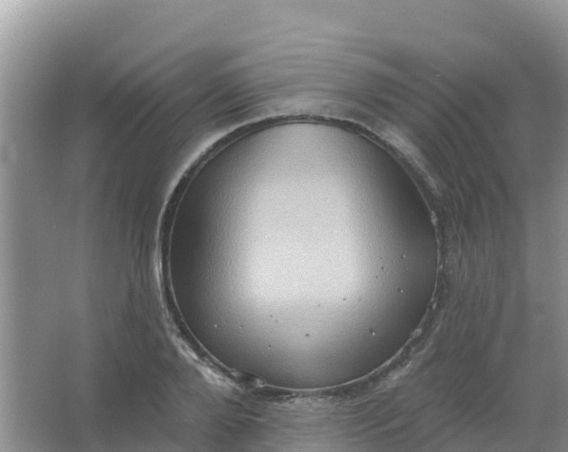 X0000066930888200604071843