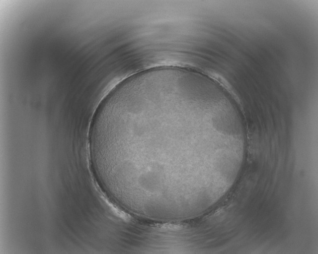 X0000066930890200604071843