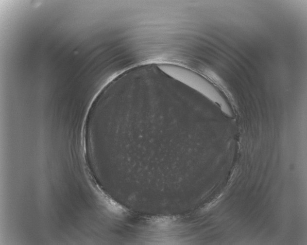 X0000066930892200604071843