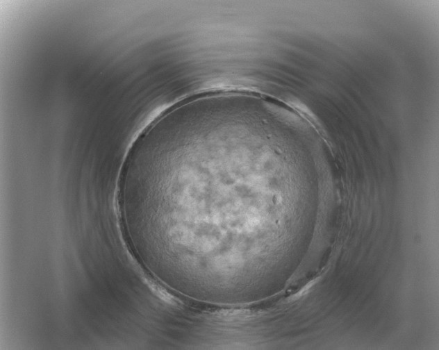 X0000066930893200604071843