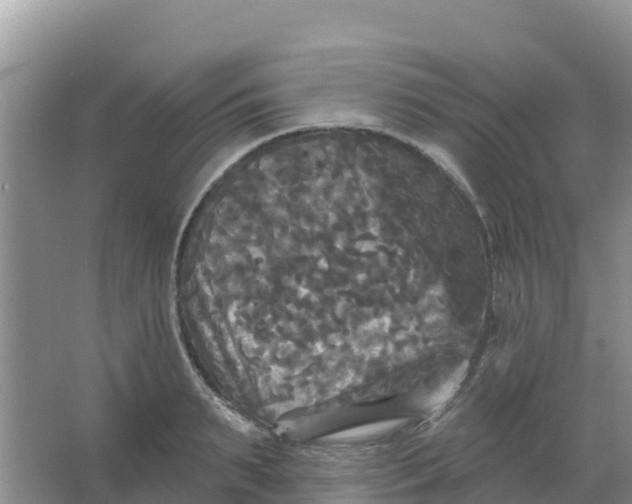 X0000066930895200604071843