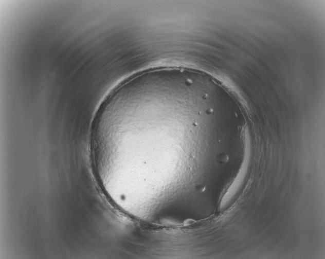 X0000066930896200604071843