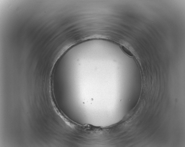 X0000066930898200604071843