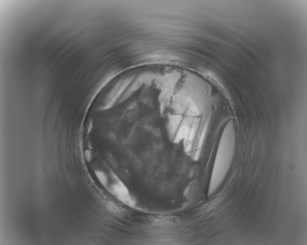 X0000066930899200604071843