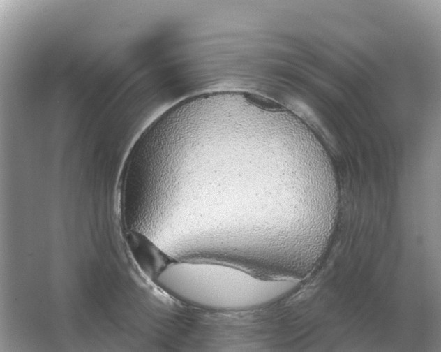 X0000066930900200604071843