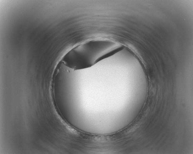 X0000066930901200604071843