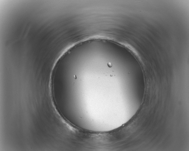 X0000066930902200604071843