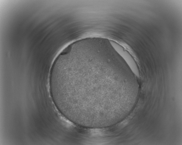 X0000066930904200604071843