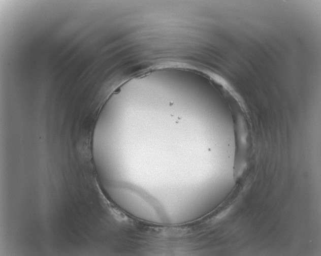 X0000066930905200604071843