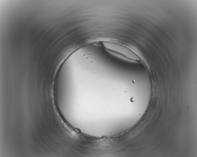 X0000066930906200604071843