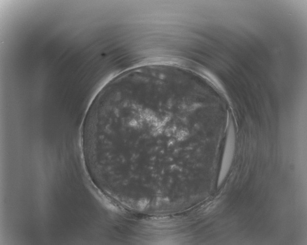 X0000066930907200604071843