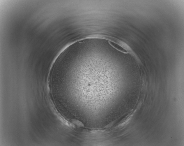 X0000066930908200604071843