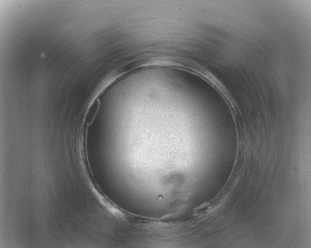 X0000066930909200604071843