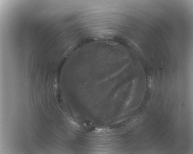 X0000066930915200604071842