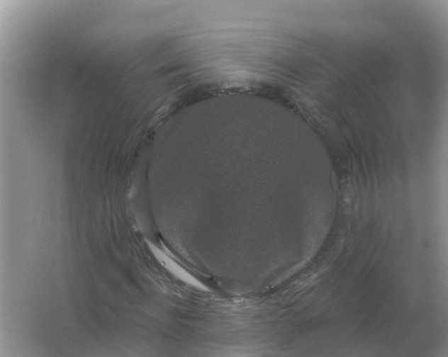 X0000066930916200604071842