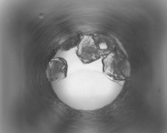 X0000066930917200604071842