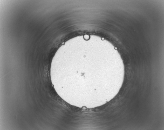 X0000066930918200604071842