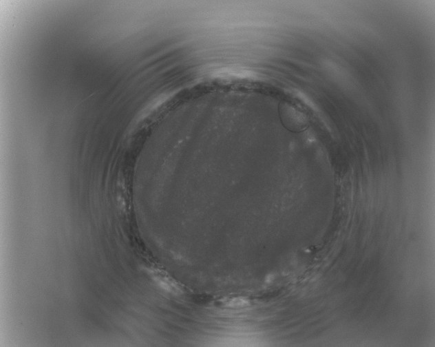 X0000066930919200604071842