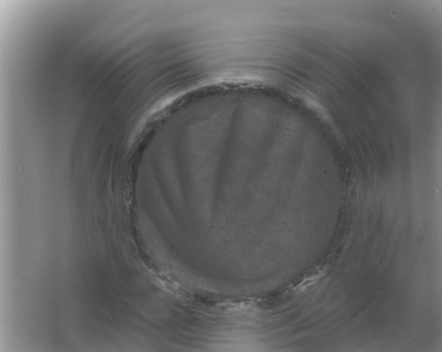 X0000066930920200604071842