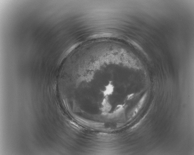 X0000066930921200604071842