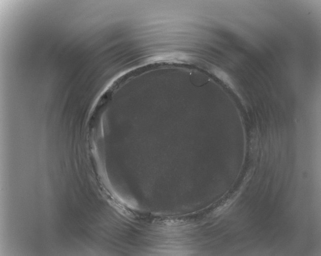 X0000066930923200604071842