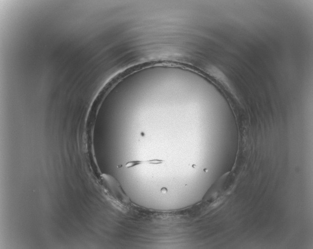 X0000066930924200604071842