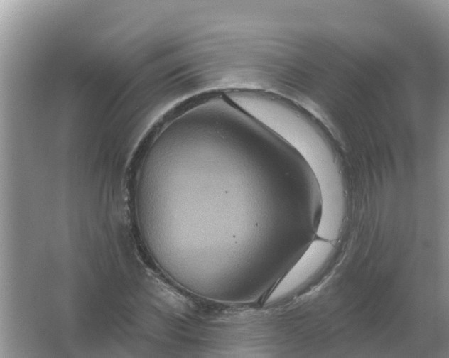 X0000066930926200604071842