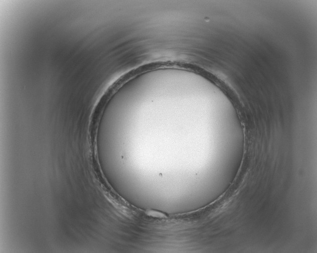 X0000066930927200604071842