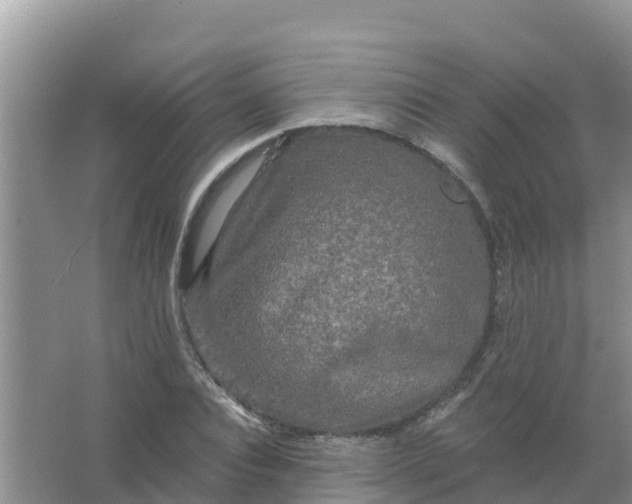 X0000066930928200604071842