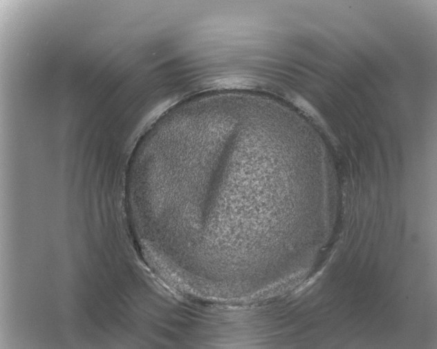 X0000066930930200604071842