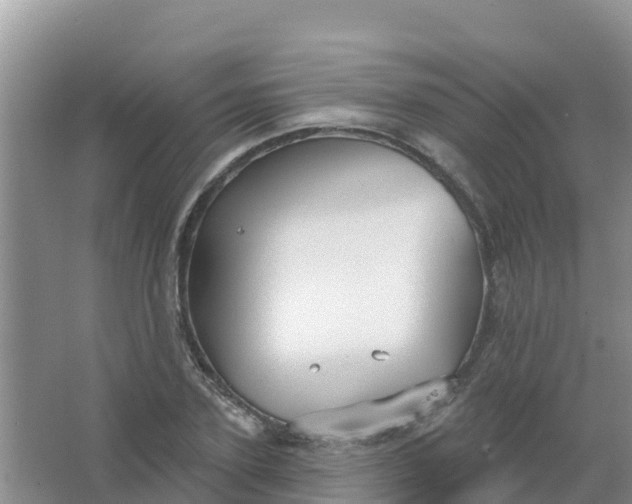 X0000066930931200604071842