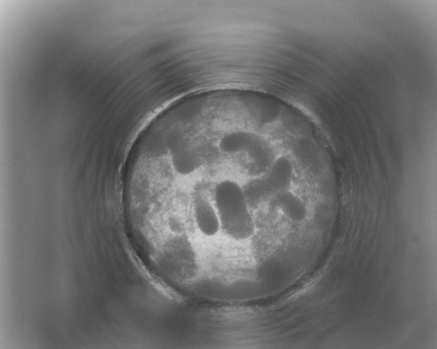 X0000066930933200604071842