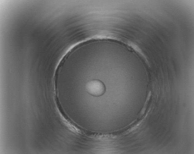 X0000066930934200604071842