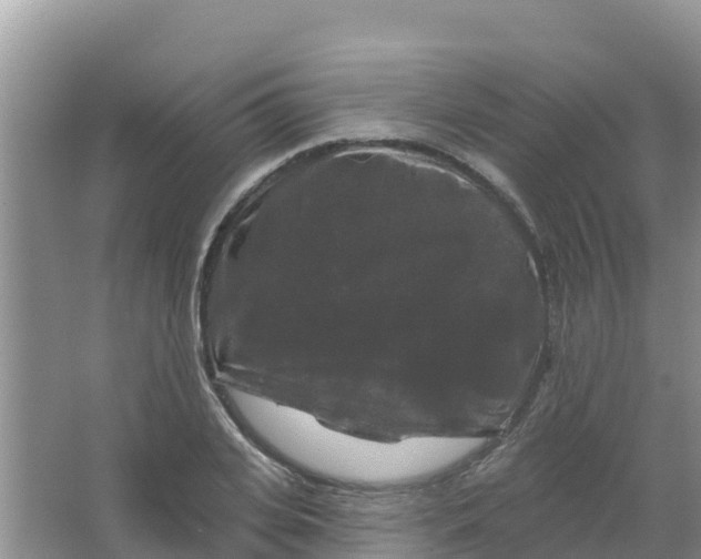 X0000066930935200604071842