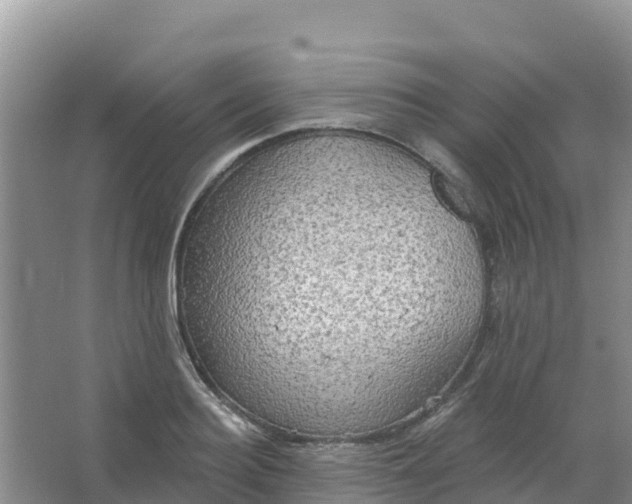 X0000066930940200604071843