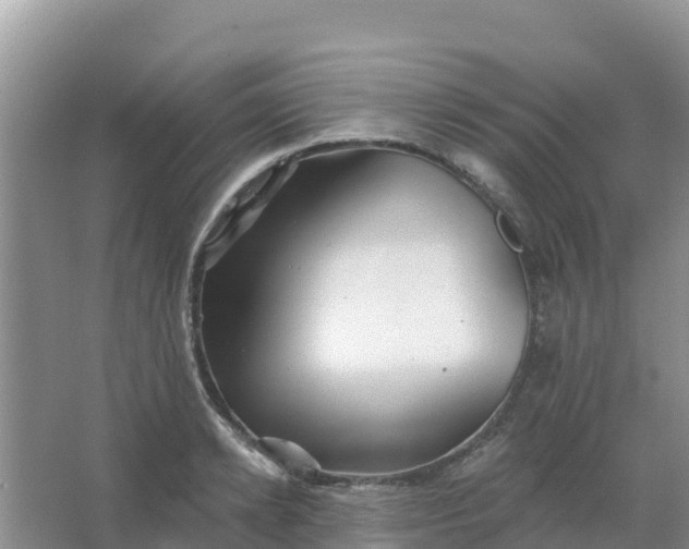 X0000066930942200604071843