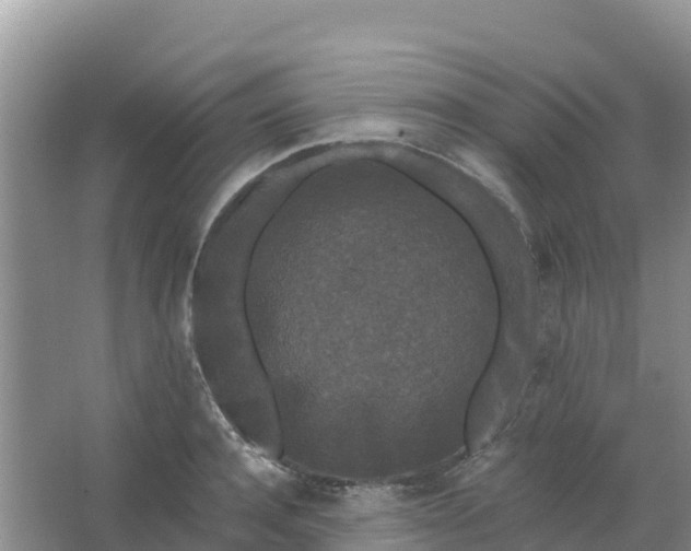 X0000066930944200604071843