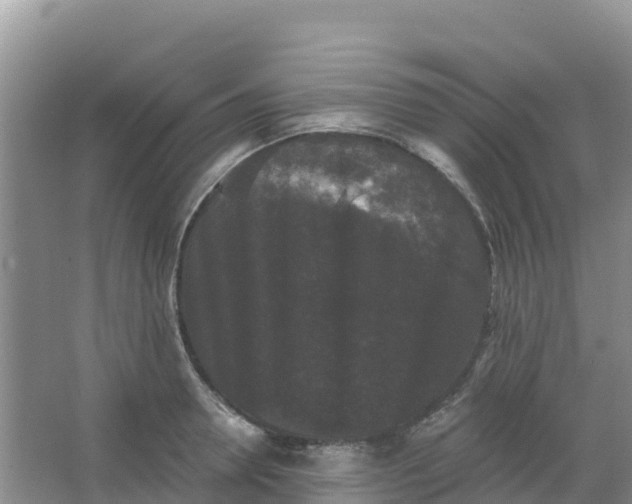 X0000066930946200604071843