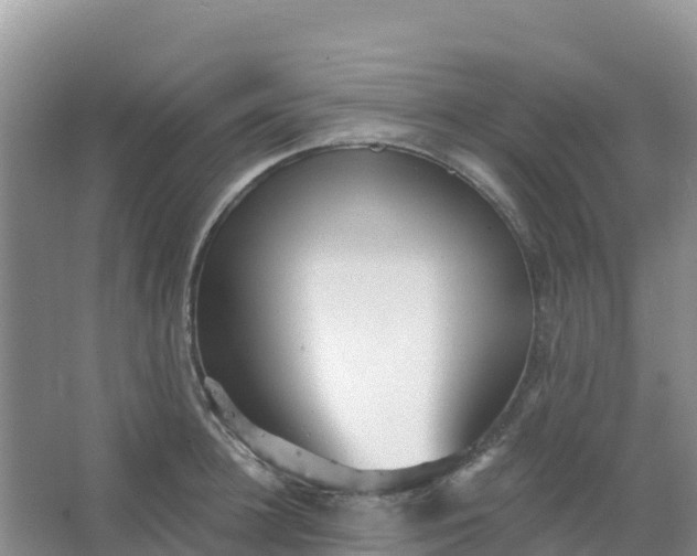 X0000066930948200604071843