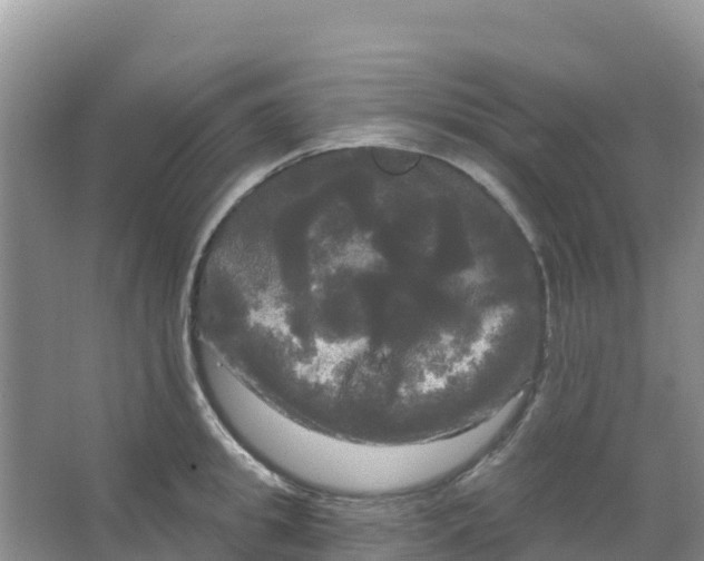 X0000066930949200604071843