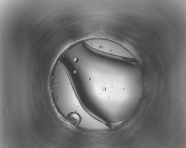 X0000066930950200604071843